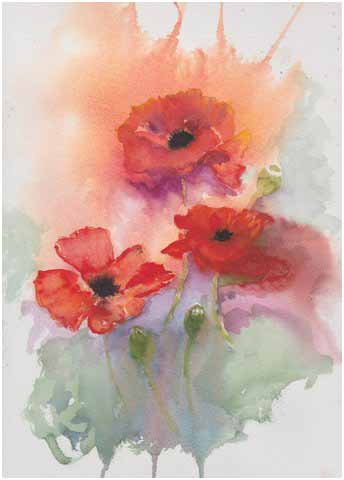 poppies2