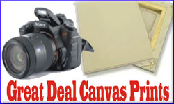 Images onto cavas